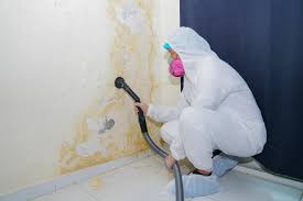 Best Air Quality Testing for Mold Spores in USA